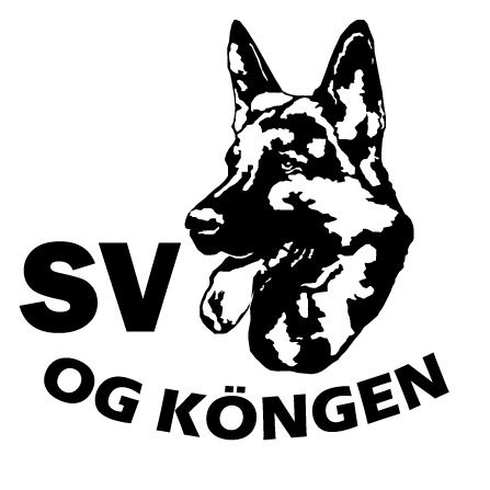 Logo von SV OG KÖNGEN