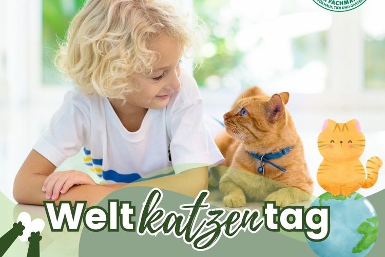 Weltkatzentag