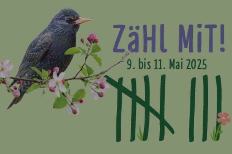 Einladung zur Hauptversammlung 2025