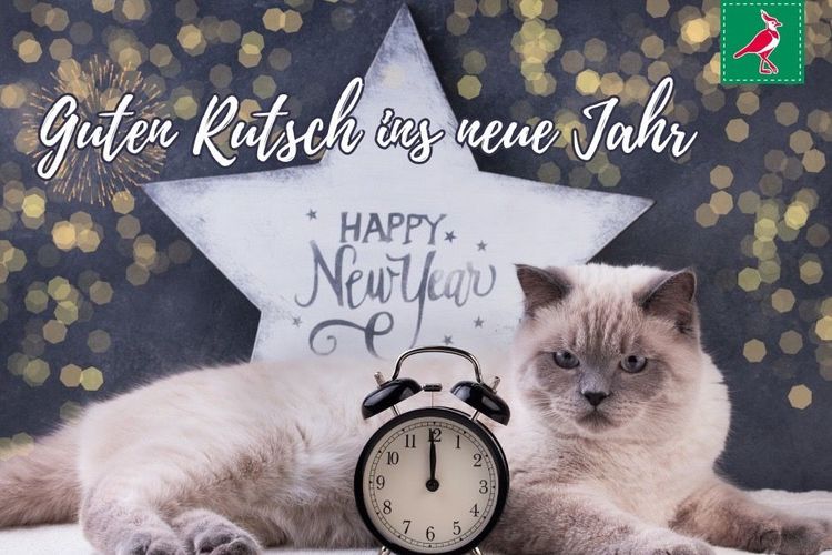 Guten Rutsch ins neue Jahr
