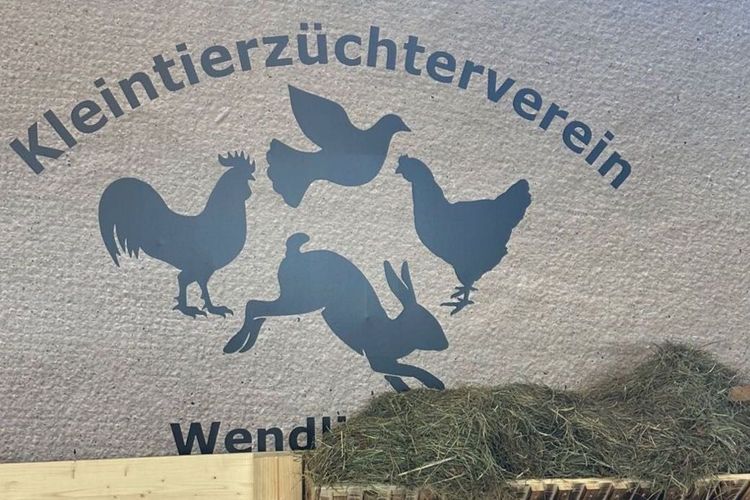 Lokalschau am 11./12.11.