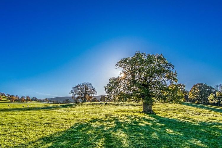 Sommerpause - erholsame Ferienzeit!
