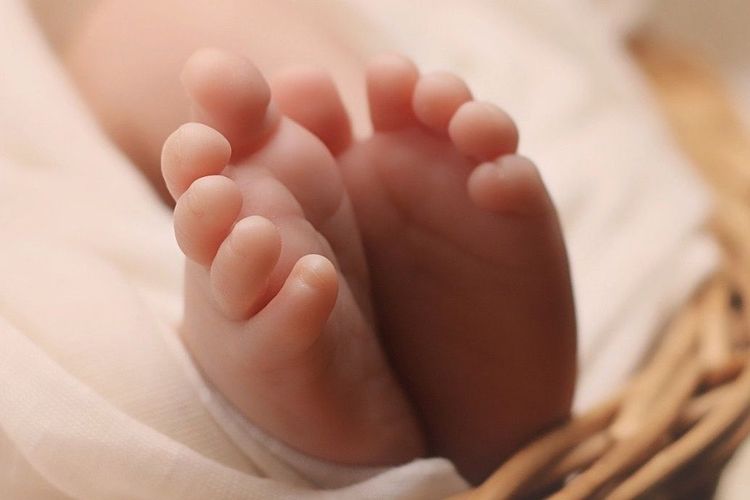 Sonntag 7.12. - 2. Advent