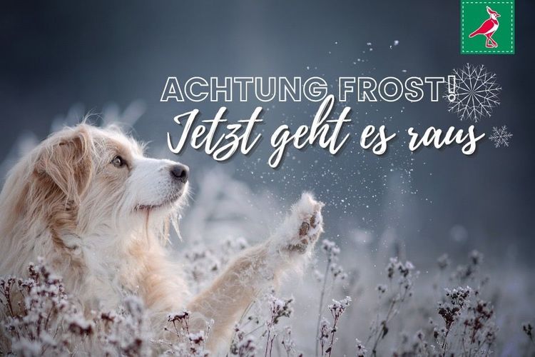 Achtung Frost! Jetzt geht es raus.