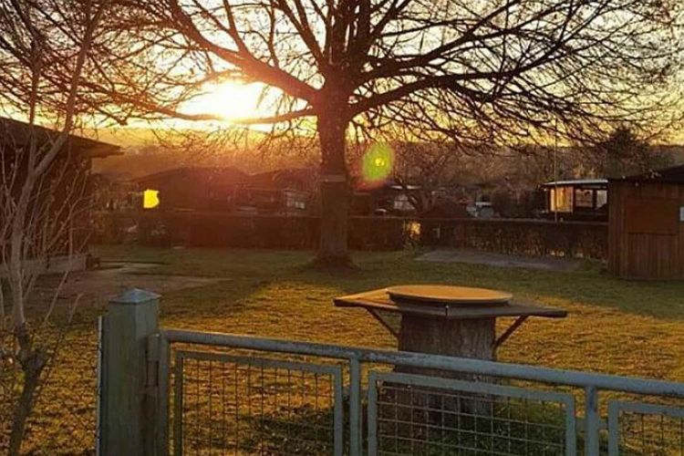 Neues übern Gartenzaun