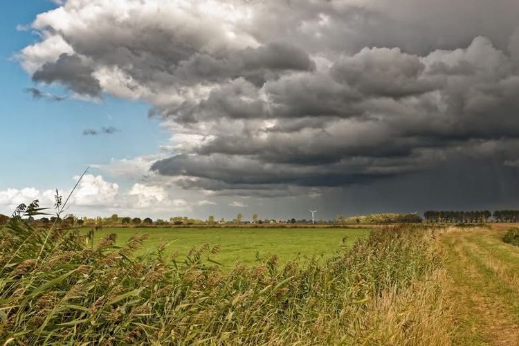 Elementarschadenversicherung