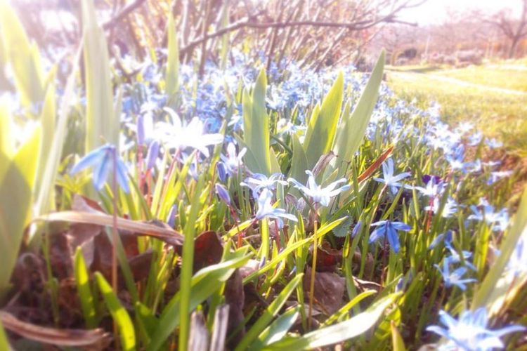 An Wochenenden und Feiertagen unser Vereinsheim wieder geöffnet.