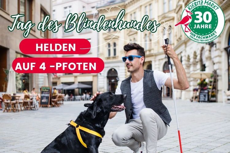 Unsere Helden im Alltag