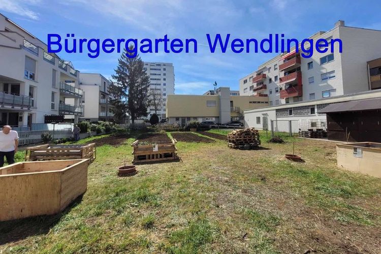 Das Team vom Bürgergarten braucht Unterstützung