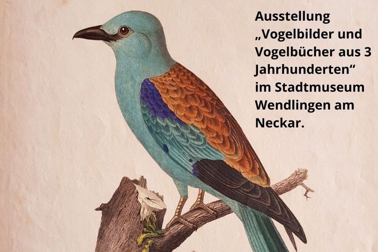 Ausstellung „Vogelbilder und Vogelbücher aus 3 Jahrhunderten“