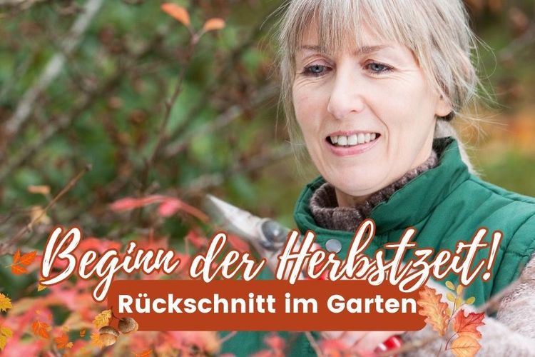 Herbstzeit ist Schnittzeit