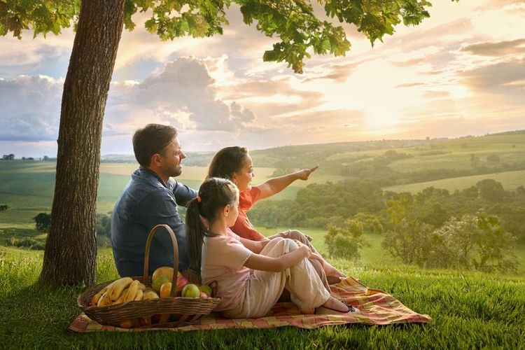 Was sagt die Bibel über Dankbarkeit