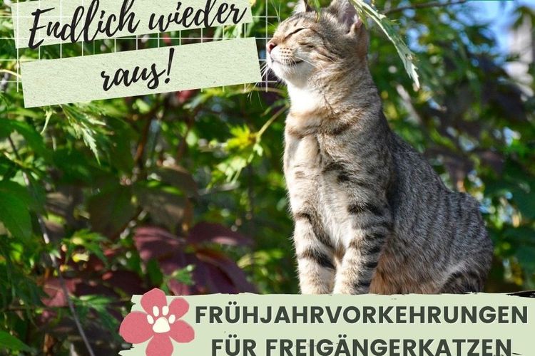 Wenn die Sonne scheint und es wärmer wird...