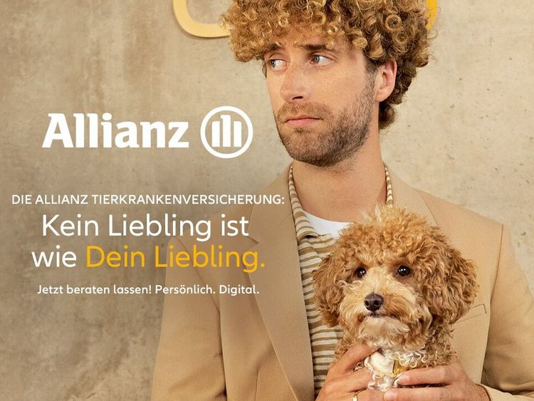 Beispielbild für Tierkrankenversicherung