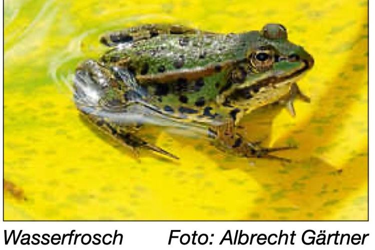 Jahresrückblick 2021