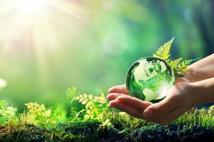 Neubau: Anteil von Wärmepumpen steigt deutlich