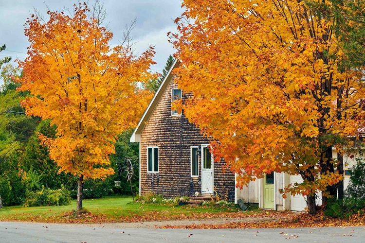 Gartenarbeit im Herbst