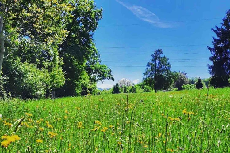 Wandertipps für die Sommerferien 