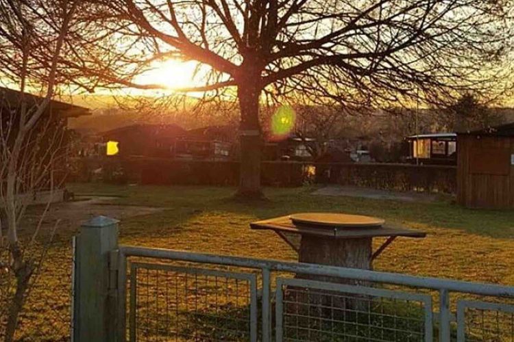 Neues übern Gartenzaun