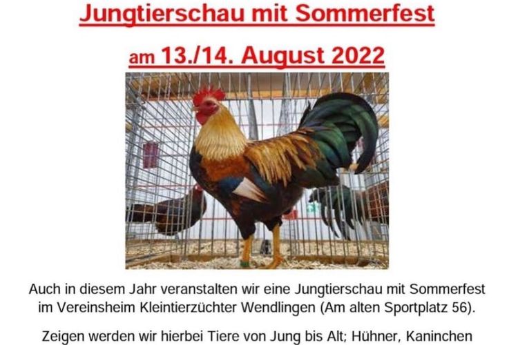 Jungtierschau mit Sommerfest am 13./14.8.