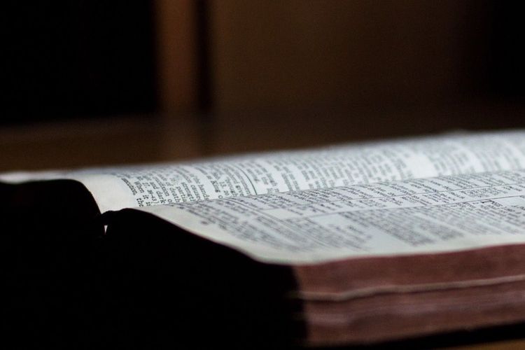 Sonntag, 29.1. 10 Uhr Gottesdienst