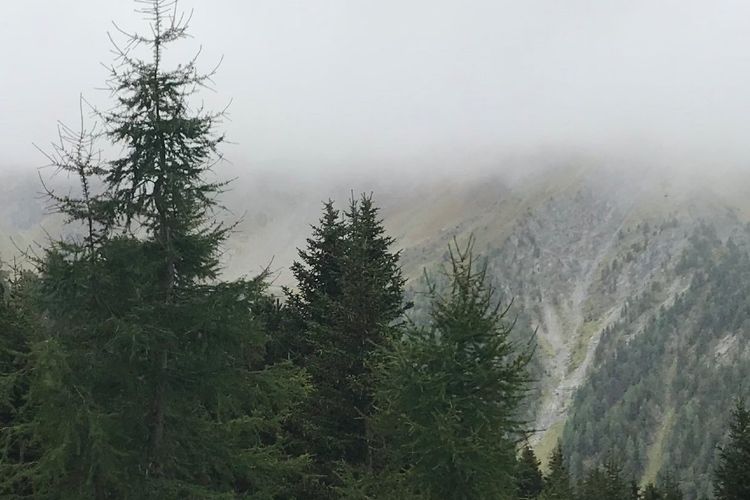 Sonntag, 23.4.  10 Uhr Gottesdienst 