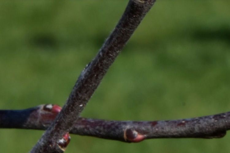 Einladung zur Hauptversammlung 