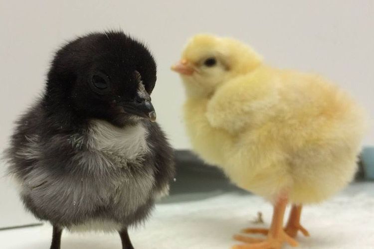 Einladung zur Mitgliederversammlung