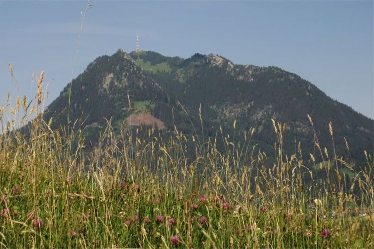 Hauptversammlung 2023