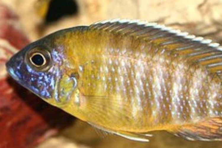 Einladung zur Jahreshauptversammlung 2023 