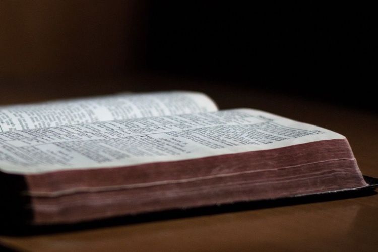 Sonntag, 16.8. 10 Uhr Gottesdienst