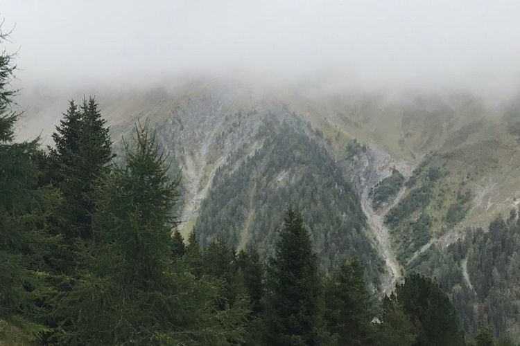 Sonntag, 19.2.  10 Uhr Gottesdienst 