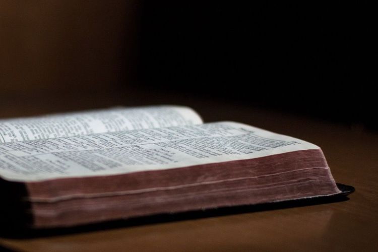 Sonntag, 2.8. | 10 Uhr Gottesdienst mit Abendmahl