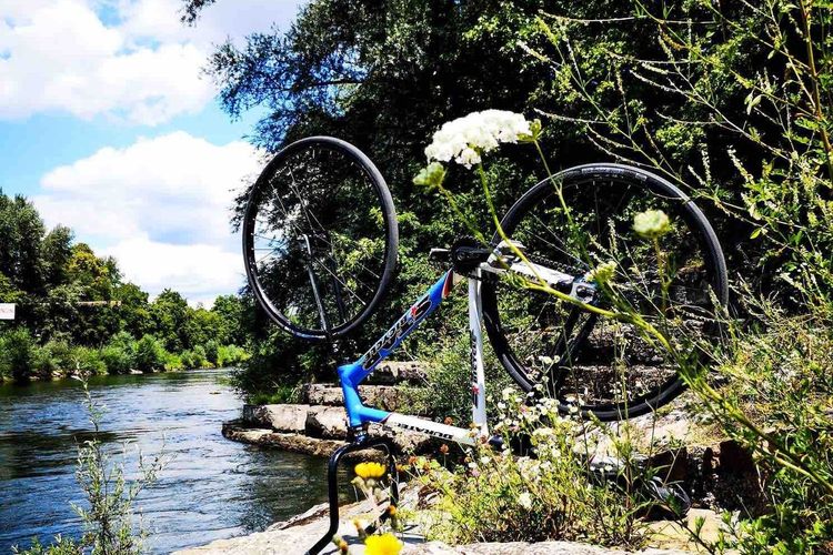 Mitgliederversammlung RSV Wendlingen