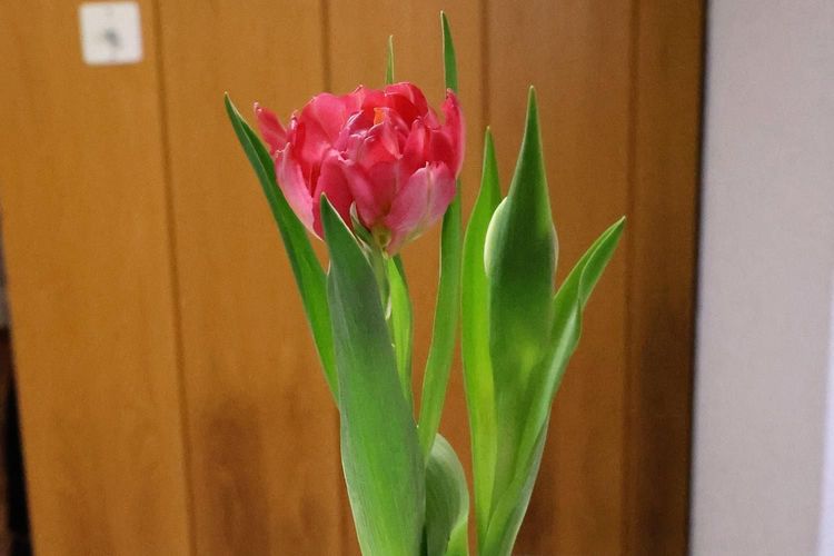 Sonntag, 7.5.  9.30 Uhr Gottesdienst 