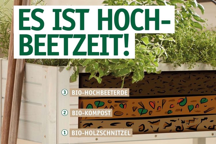 ES IST HOCHBEETZEIT!