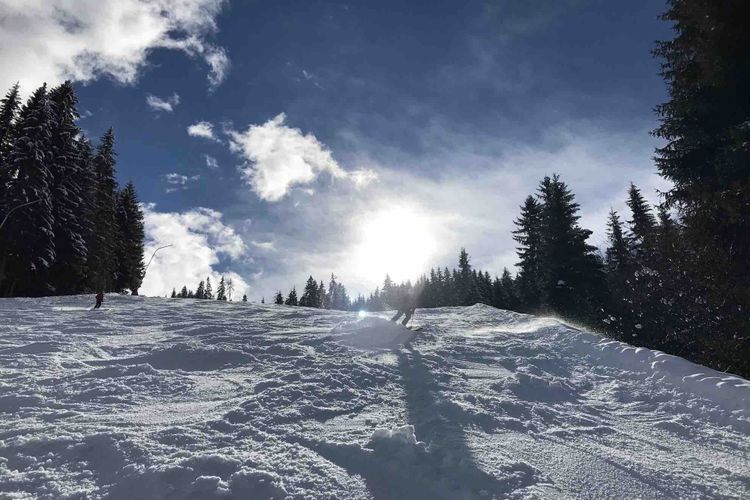 Termine jetzt online - Anmeldung ab sofort möglich!