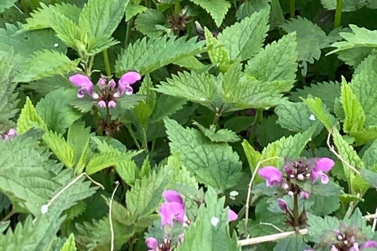 Gesprächsrunde mit Frühschoppen 