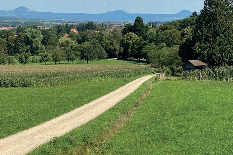 Fahrt nach Lauffen am Neckar