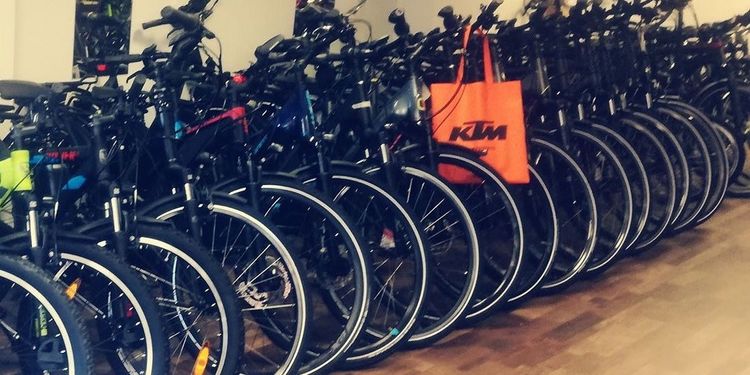 Das Team von FAHRRADECKE BÜDERICH
