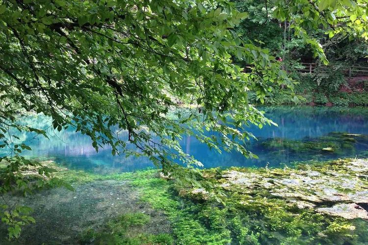 Mit dem Bürgerverein Wendlingen am Neckar zur schönen Lau
