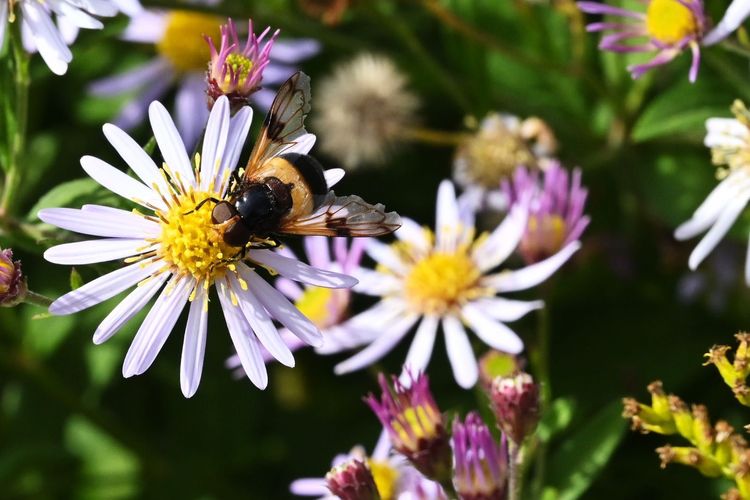 Warum eigentlich nicht…?