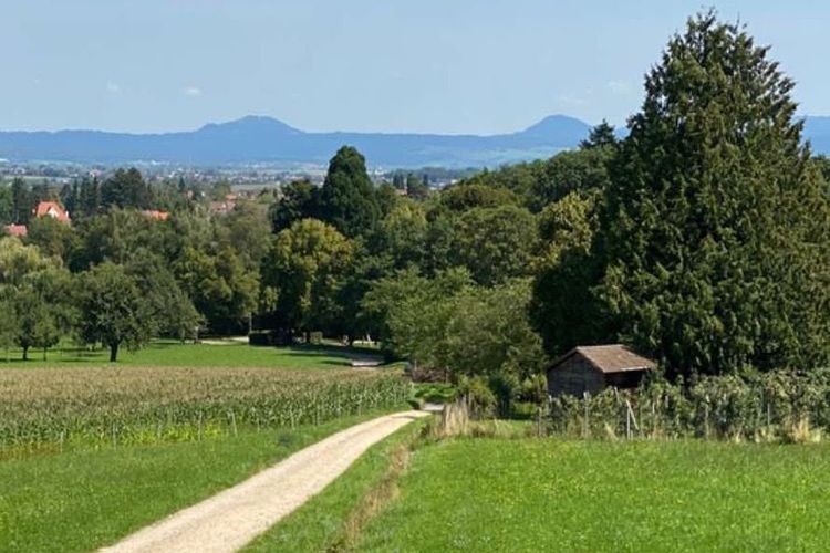 Generalversammlung So, 03.03.2024