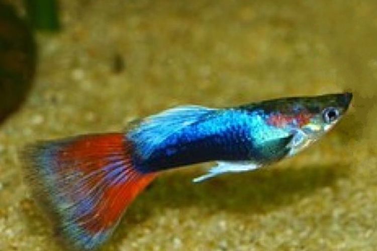 Rückblick Hauptversammlung 2025