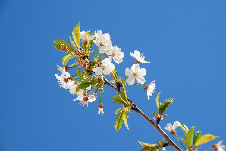 Sonntag, 30.7. 9.30 Uhr Gottesdienst in Kirchheim