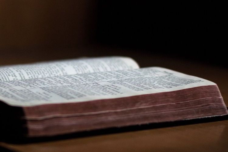 Sonntag, 20.9. 10 Uhr Gottesdienst