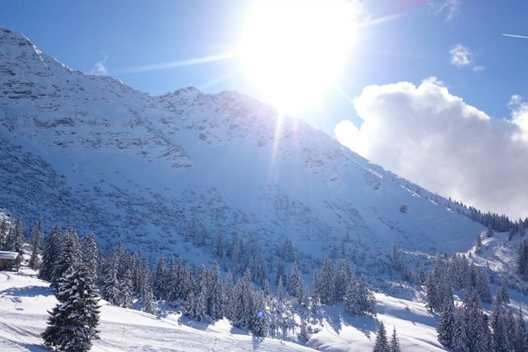 Jubilare treffen sich