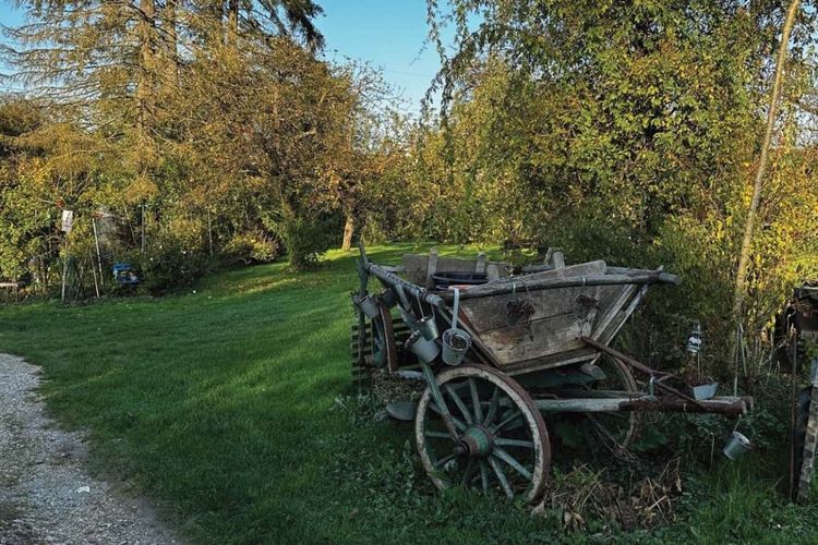 NEUER TERMIN Wanderung 