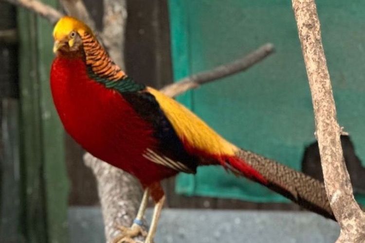 Einladung zur Jahreshauptversammlung 2023