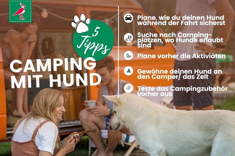 Mit Hund in den Campingurlaub